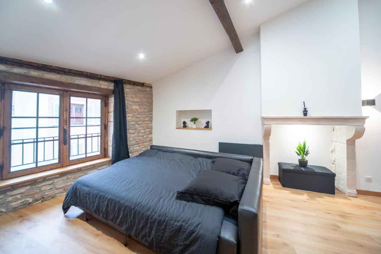 Loft Au Coeur Du Centre Ville Mâcon Kültér fotó
